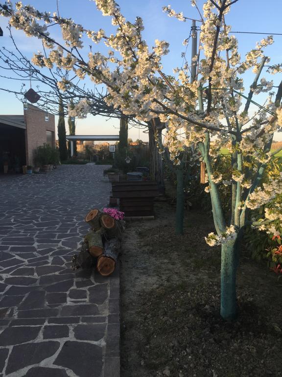 Dolce Casetta Faenza Bagian luar foto